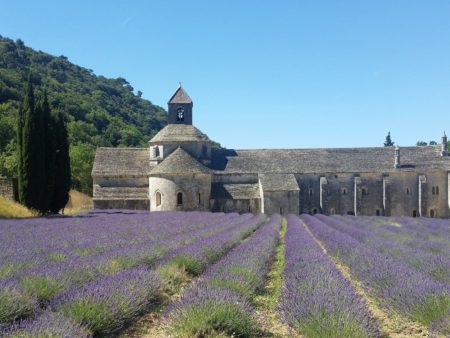 abbaye-gcd22d7ce8_1920