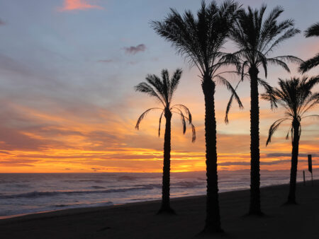 Amazing beach landscape with palms at sunset in Mediterranean Sea.Summer and holidays concept.
